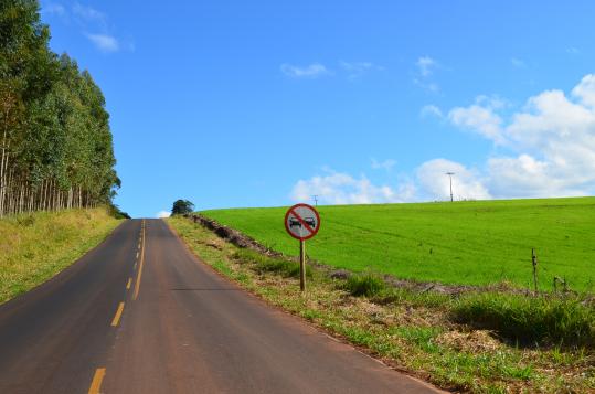 Administração realizou limpeza nas margens das rodovias rurais