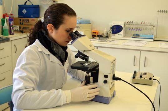 Secretaria de Sáude divulga relatório com número de exames realizados