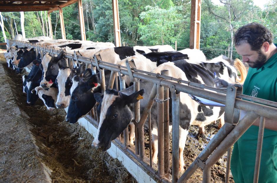 Programa de Sanidade Animal auxilia produtores de leite do Município