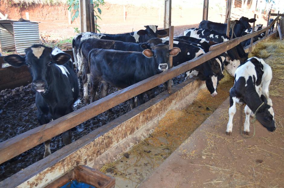 Prefeito Álvaro cria Programa de Desenvolvimento Rural de Chopinzinho