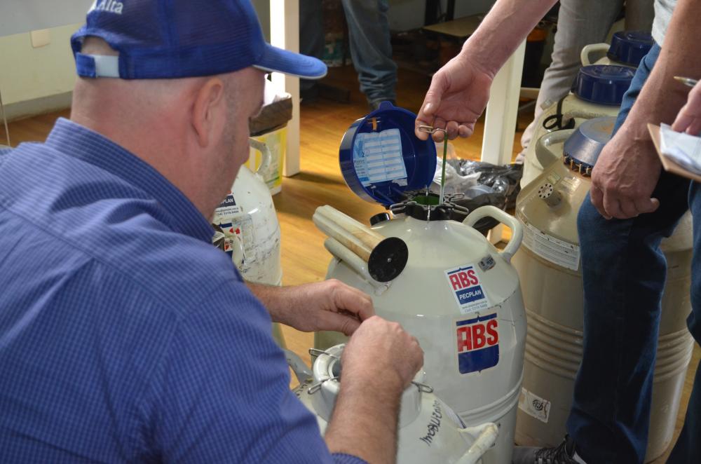 SECRETARIA DE AGRICULTURA REALIZA REPASSE DE MATERIAL GENÉTICO PARA PRODUTORES.