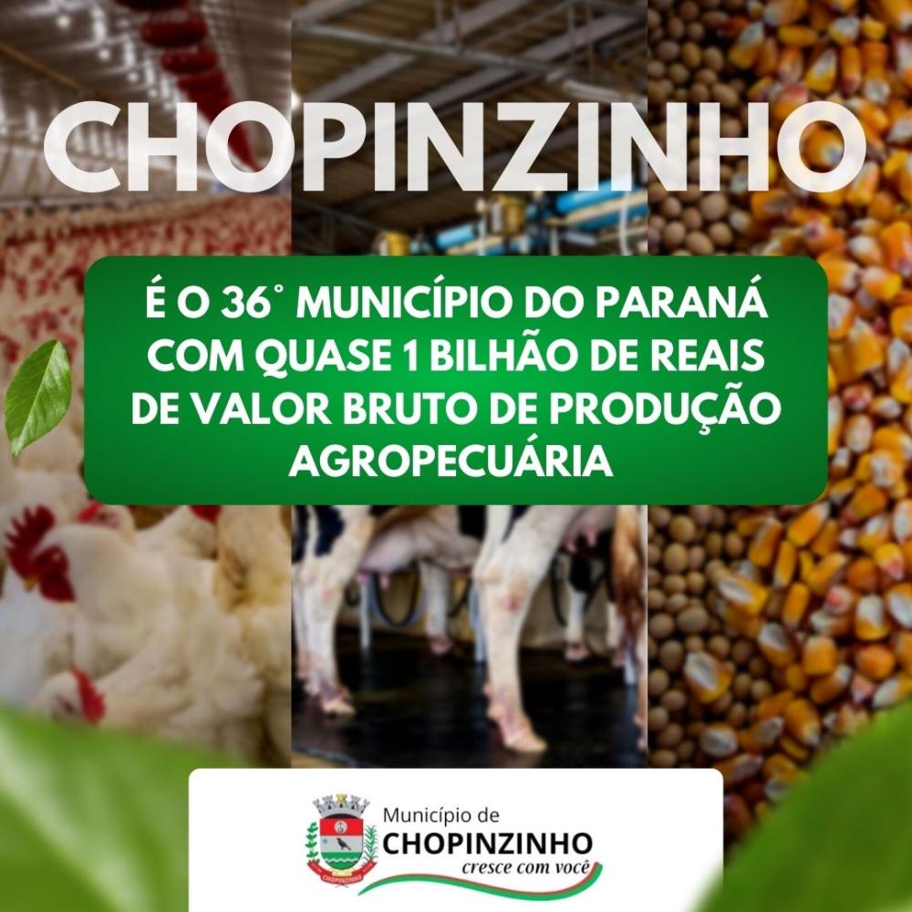 MUNICÍPIO DE CHOPINZINHO OCUPA A 36ª POSIÇÃO NA RANKING DE VALOR BRUTO DE PRODUÇÃO AGROPECUÁRIA.